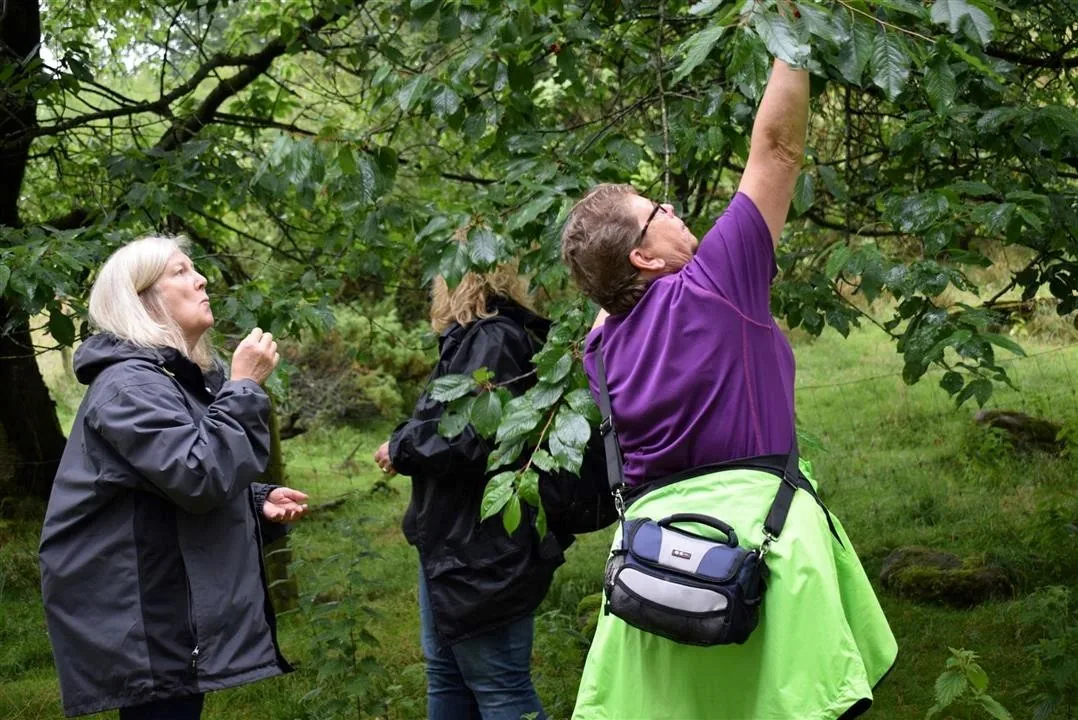 G21.4 bramslev bakker restaurant lunch fri 21 jul (16)